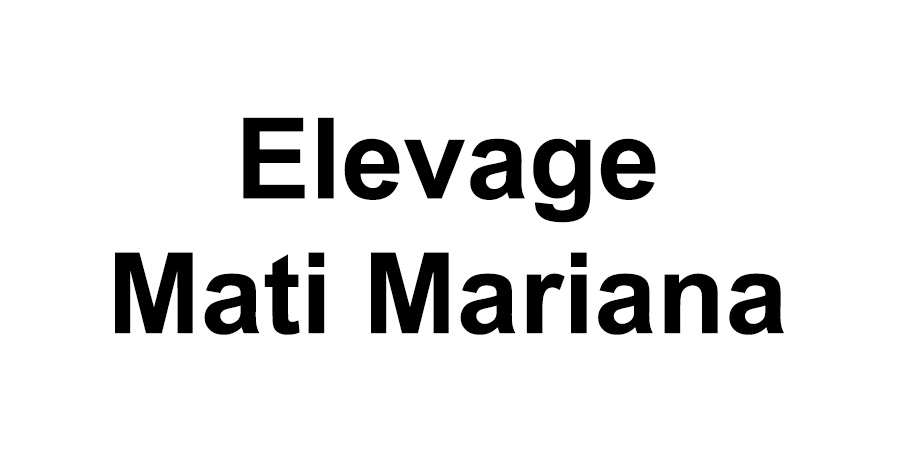 Elevage Mati Mariana - Home