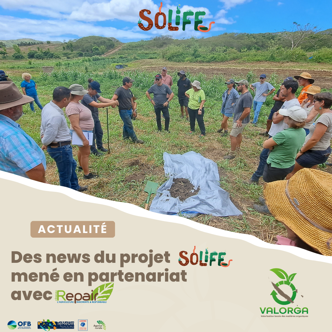 Des news du projet SoLife